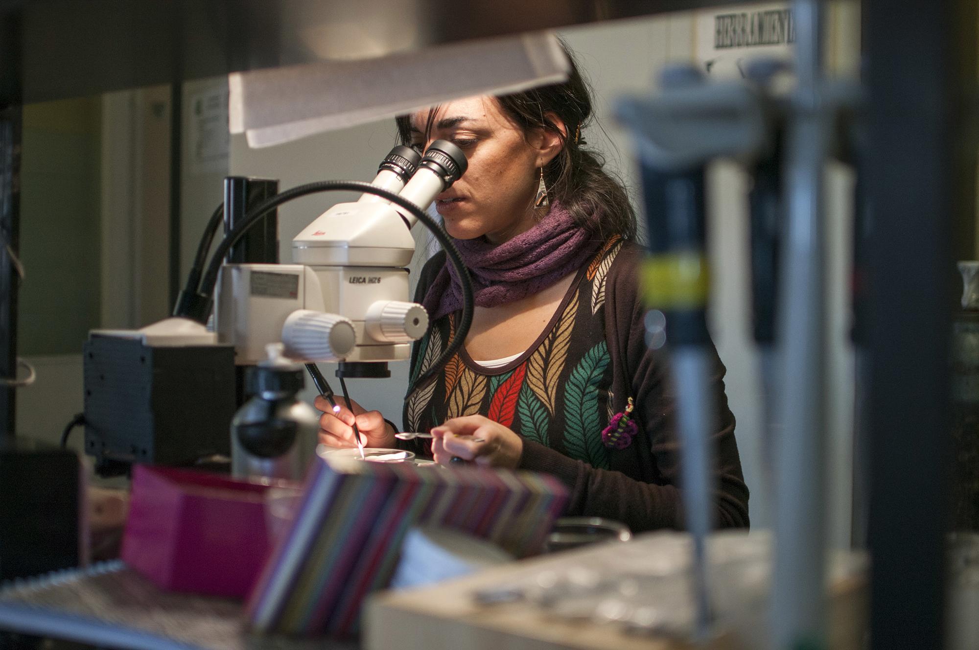 Ciencia e investigación